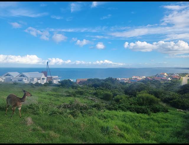 990M² VACANT LAND FOR SALE IN DANA BAY